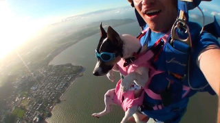 Via iloveskydiving.org